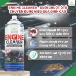 bí quyết bảo vệ xe mùa mưa tránh chuột, xịt chuột ô tô, Engine Cleaner