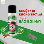 tại sao chuột vào nhà mùa mưa, Rat & Pest Oust, xịt chuột gia đình