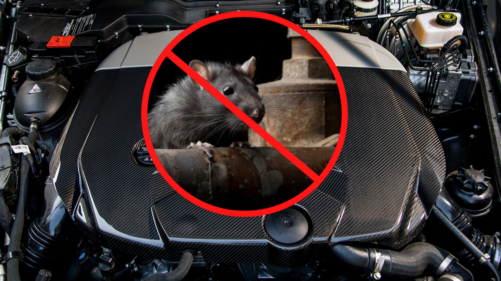 Sự thật về xịt đuổi chuột ô tô: Không phải mùi nồng sẽ hiệu quả, xịt chuột ô tô, Engine Cleaner