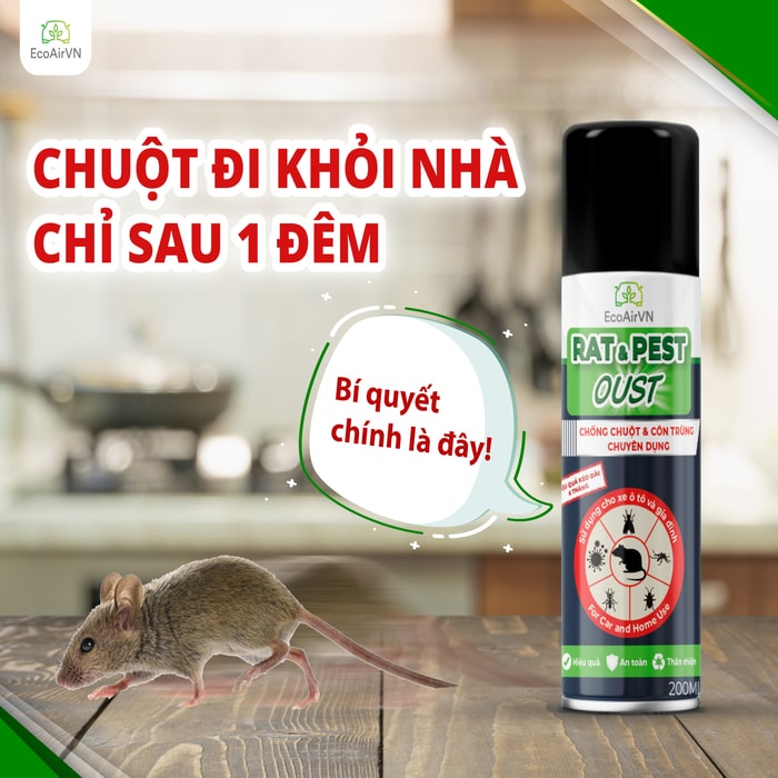 đuổi chuột hiệu quả mùa mưa, xịt chuột gia đình, Rat & Pest Oust