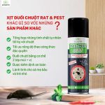 xịt chuột gia đình, Rat & Pest Oust, tại sao nên chống chuột dù chúng chưa xuất hiện