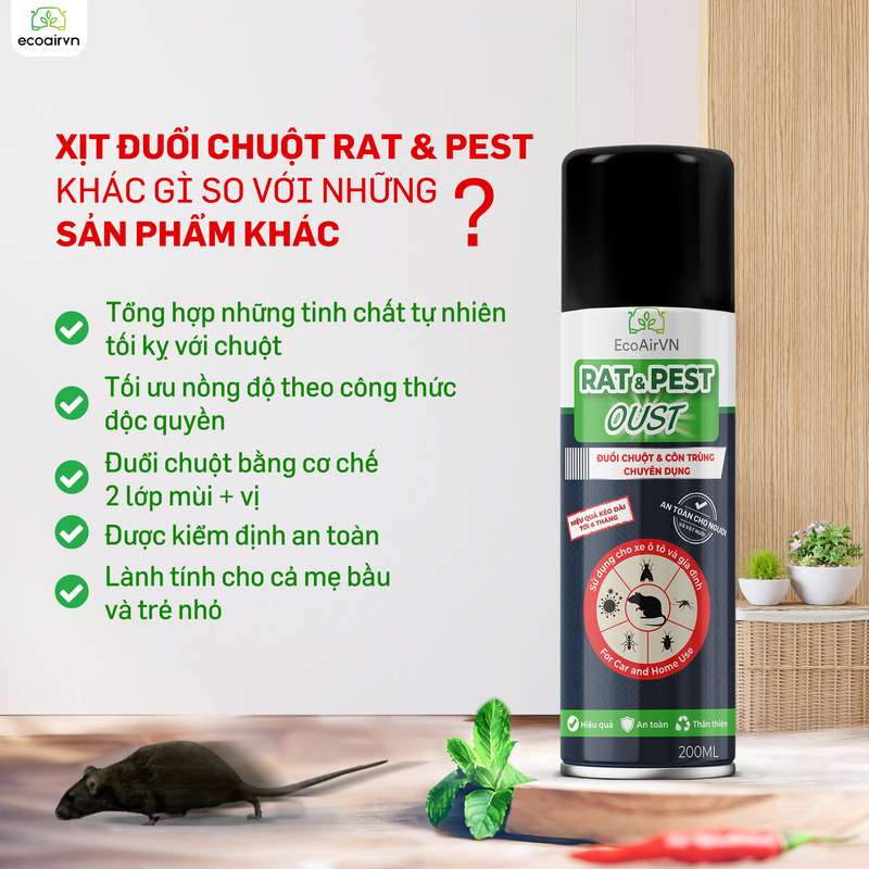 xịt chuột gia đình, Rat & Pest Oust, tại sao nên chống chuột dù chúng chưa xuất hiện