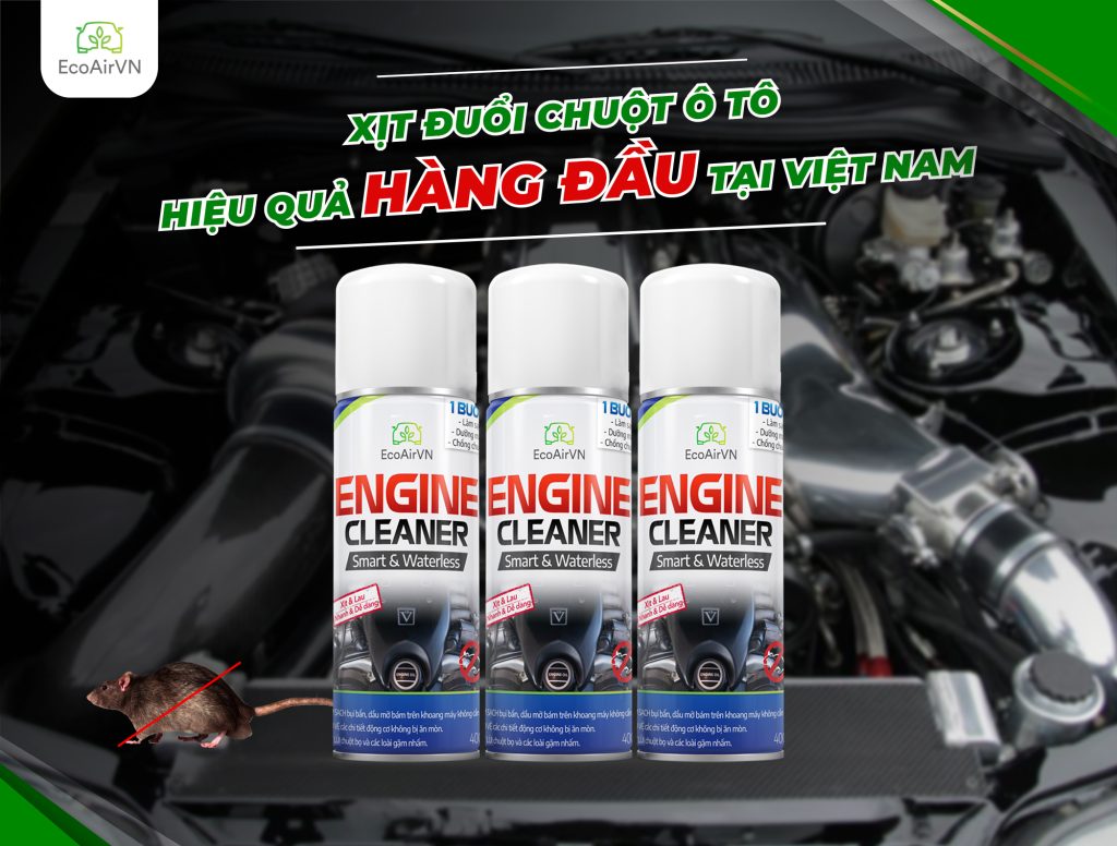 chuột có hoảng sợ khi nghe tiếng còi ô tô, xịt chuột ô tô, engine cleaner