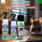 mẹo đuổi chuột bằng vật dụng có sẵn trong bếp, xịt chuột gia đình, rat & pest oust