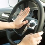 chuột có hoảng sợ khi nghe tiếng còi ô tô, xịt chuột ô tô, engine cleaner