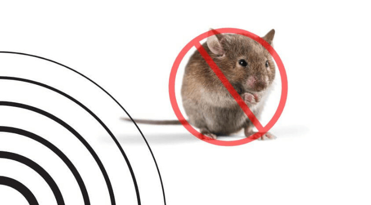 những âm thanh thu hút chuôt, xịt chuột gia đình, rat & pest oust