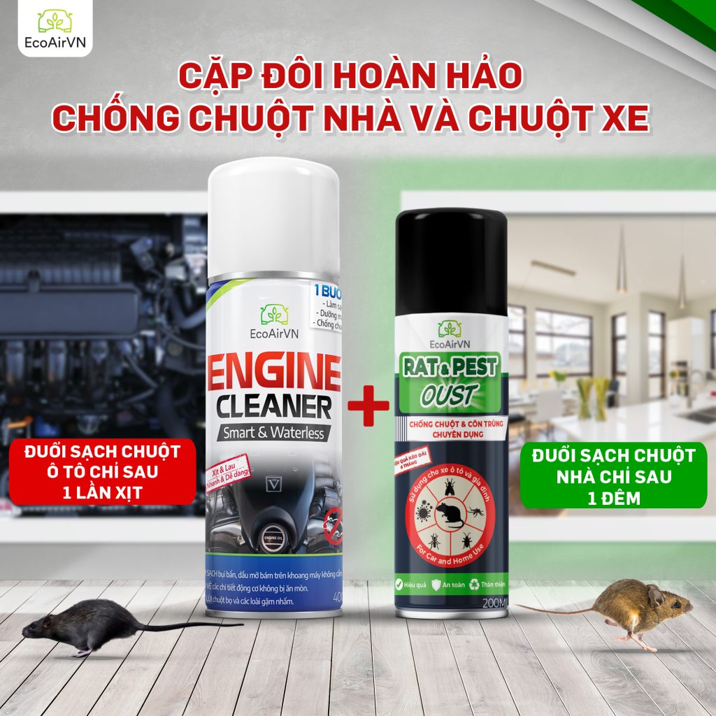 chuột hoạt động mạnh nhất lúc mấy giờ, xịt chuột gia đình, xịt chuột ô tô, xịt chuột chuyên dụng, engine cleaner, rat & pest oust
