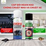 chuột hoạt động mạnh nhất lúc mấy giờ, xịt chuột gia đình, xịt chuột ô tô, xịt đuổi chuột xe ô tô, rat & pest oust, engine cleaner,