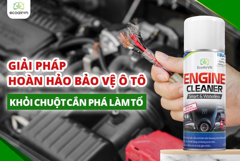 Có nên để long não trong xe để đuổi chuột?