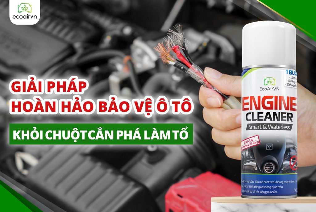 Có nên để long não trong xe để đuổi chuột, xịt chuột ô tô, Engine Cleaner
