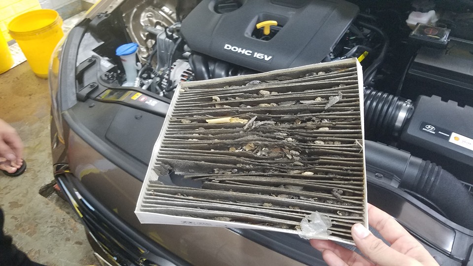 Đỗ xe trong hầm & ngoài trời: chỗ nào chuột đến nhiều hơn, xịt chuột ô tô, engine cleaner, đuổi chuột ô tô, xịt chống chuột ô tô