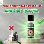 Cách chống chuột cho chung cư, nhà phố và nhà vườn, xịt chuột gia đình, rat & pest oust