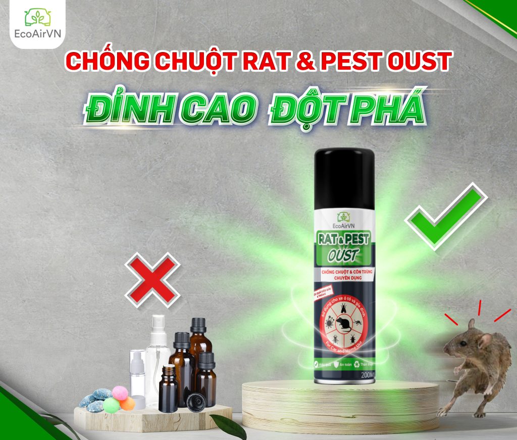 Cách chống chuột cho chung cư, nhà phố và nhà vườn, xịt chuột gia đình, rat & pest oust