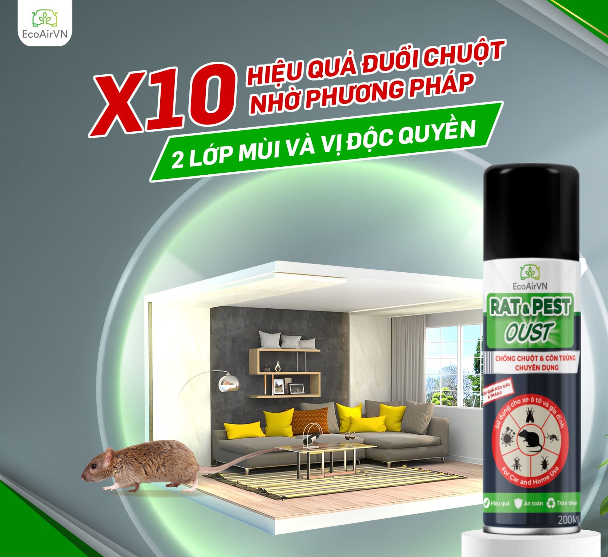 xịt chuột gia đình, rat & pest oust, sai lầm khi đuổi chuột khiến chuột quay lại
