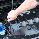 cách ngăn chuột cắn dây điện ô tô hiệu quả