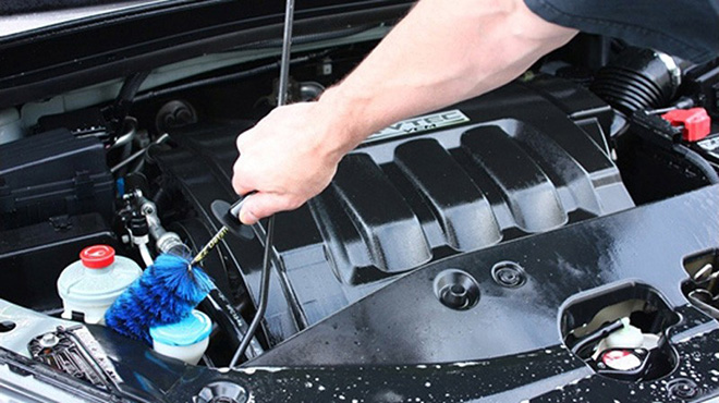 Cách ngăn chuột cắn dây điện ô tô hiệu quả nhất