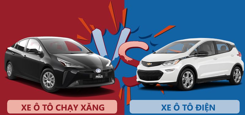 chống chuột cho xe điện và xe xăng