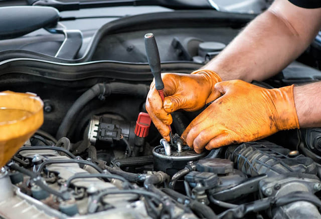 chuột có sợ mùi xăng dầu không. đuổi chuột ô tô