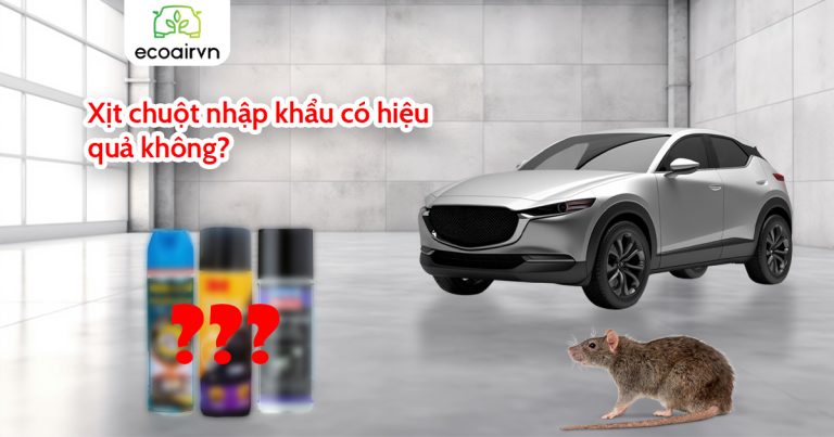 Xịt chuột nhập khẩu có hiệu quả không?