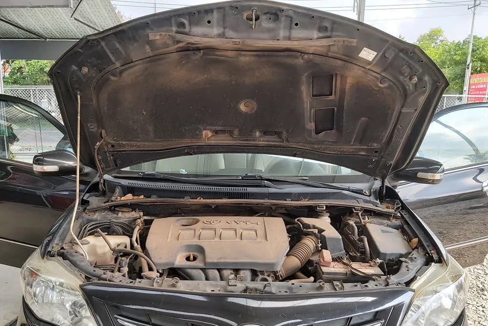 cách chống chuột khoang máy ô tô