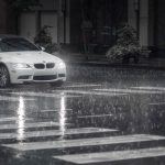 thói quen chuột vào mùa mưa, chống chuột ô tô, đuổi chuột ô tô