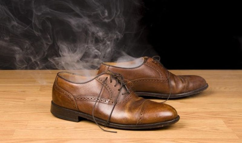 chuột có đi theo mùi người hoặc mùi giày không, đuổi chuột ô tô
