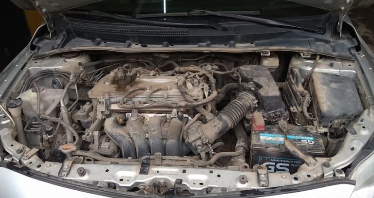 khoang máy bẩn dễ thu hút chuột, xịt đuổi chuột ô tô