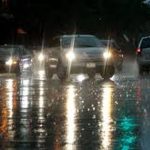 chuột thích vào xe ô tô khi trời mưa, xịt đuổi chuột ô tô