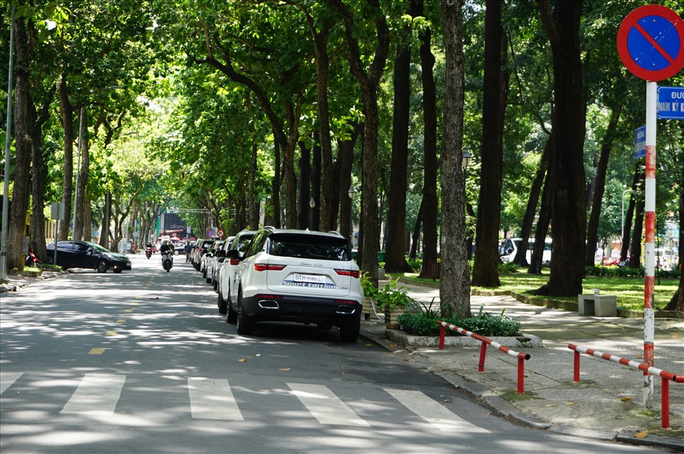 Di chuyển xe mỗi ngày có ngăn được chuột không? chống chuột ô tô