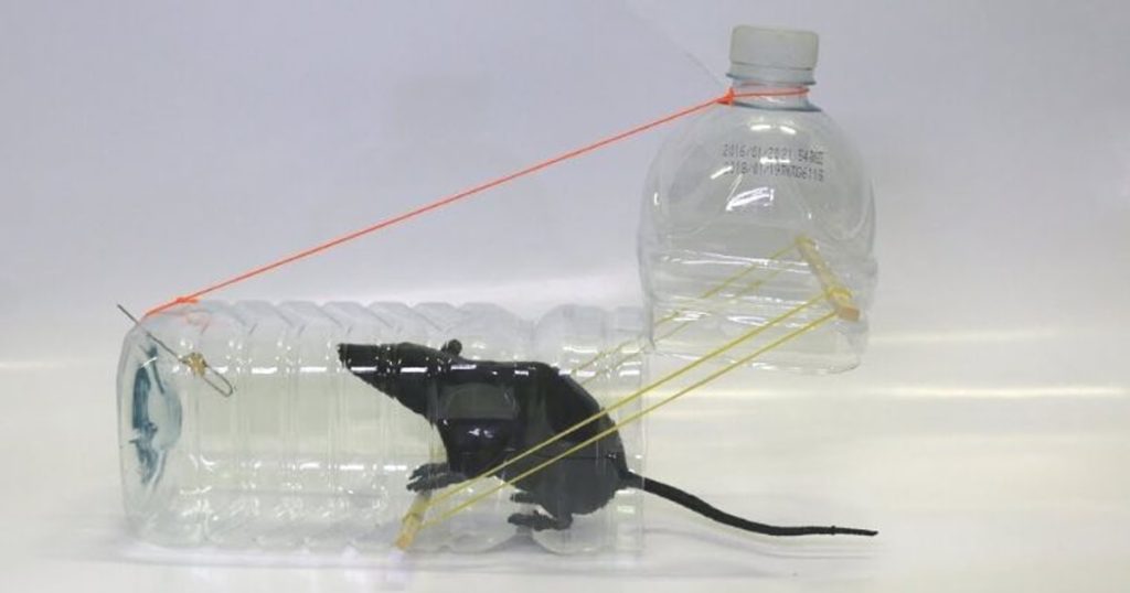 bẫy chuột tự chế, xịt đuổi chuột rat & pest oust