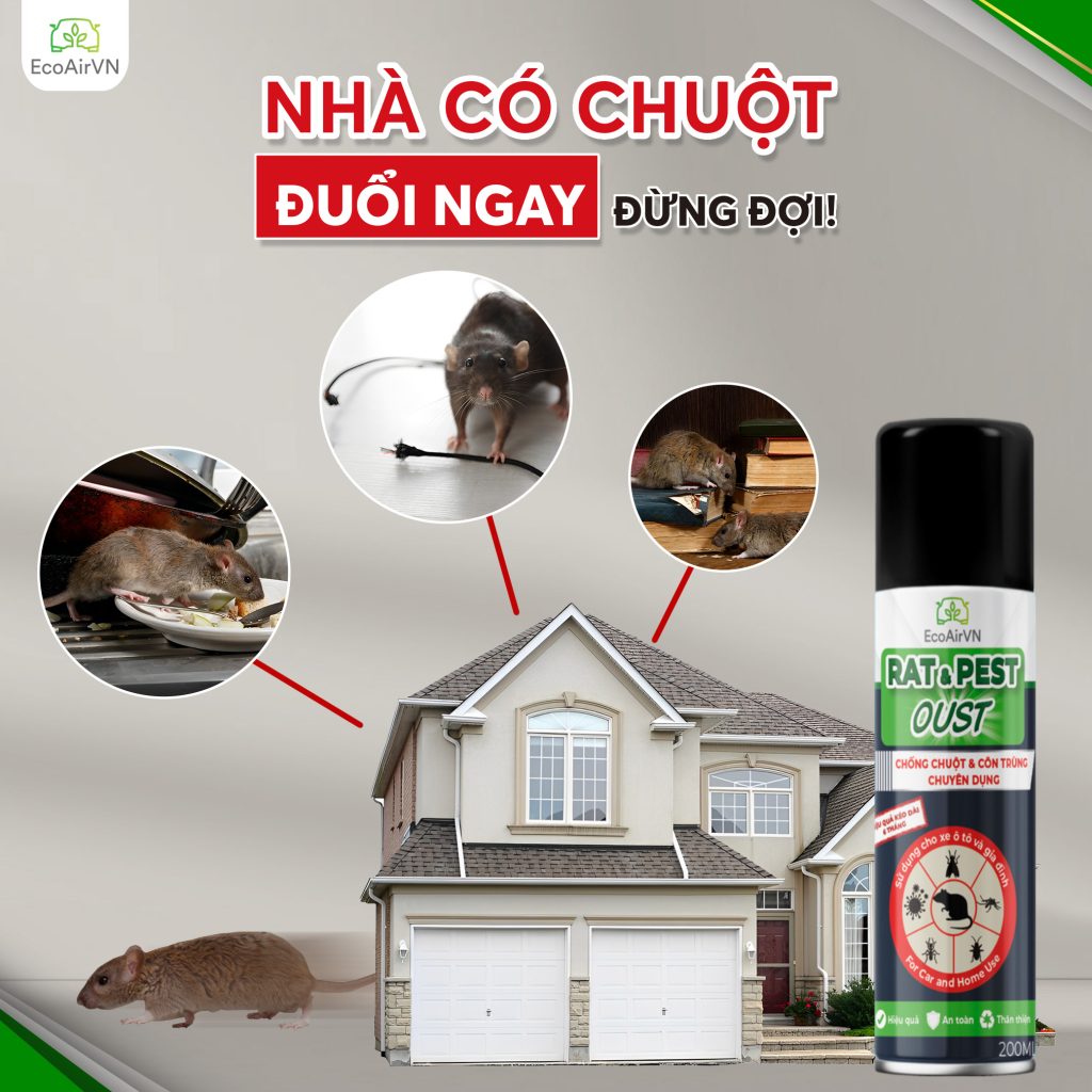 bỏ gì để chuột không vào nhà, xịt đuổi chuột rat & pest oust