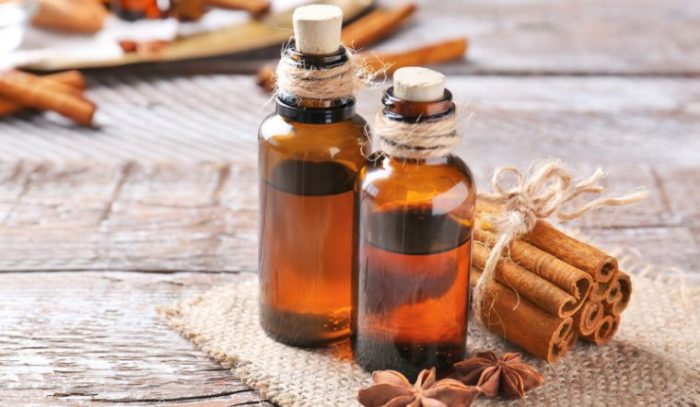 Chuột sợ dầu gì? 7 loại tinh dầu đuổi chuột hiệu quả, xịt đuổi chuột rat & pest oust
