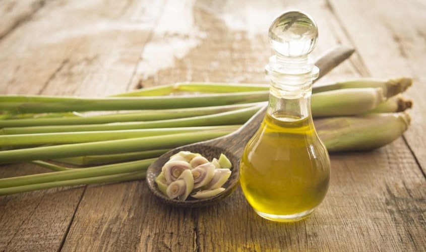 cách đuổi chuột trên sân thượng hiệu quả, xịt đuổi chuột rat & pest oust