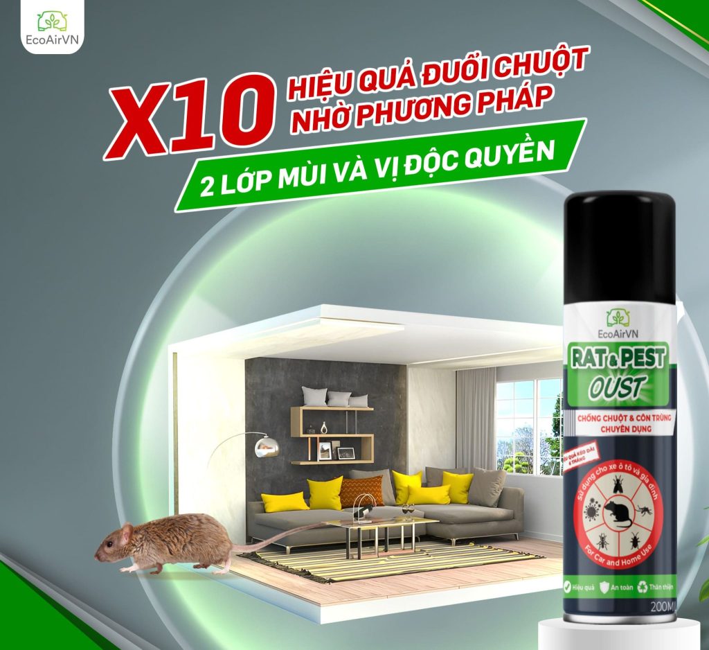 cách đuổi chuột trên sân thượng hiệu quả, xịt đuổi chuột rat & pest oust
