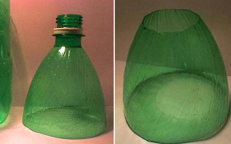 bẫy chuột tự chế, xịt đuổi chuột rat & pest oust

