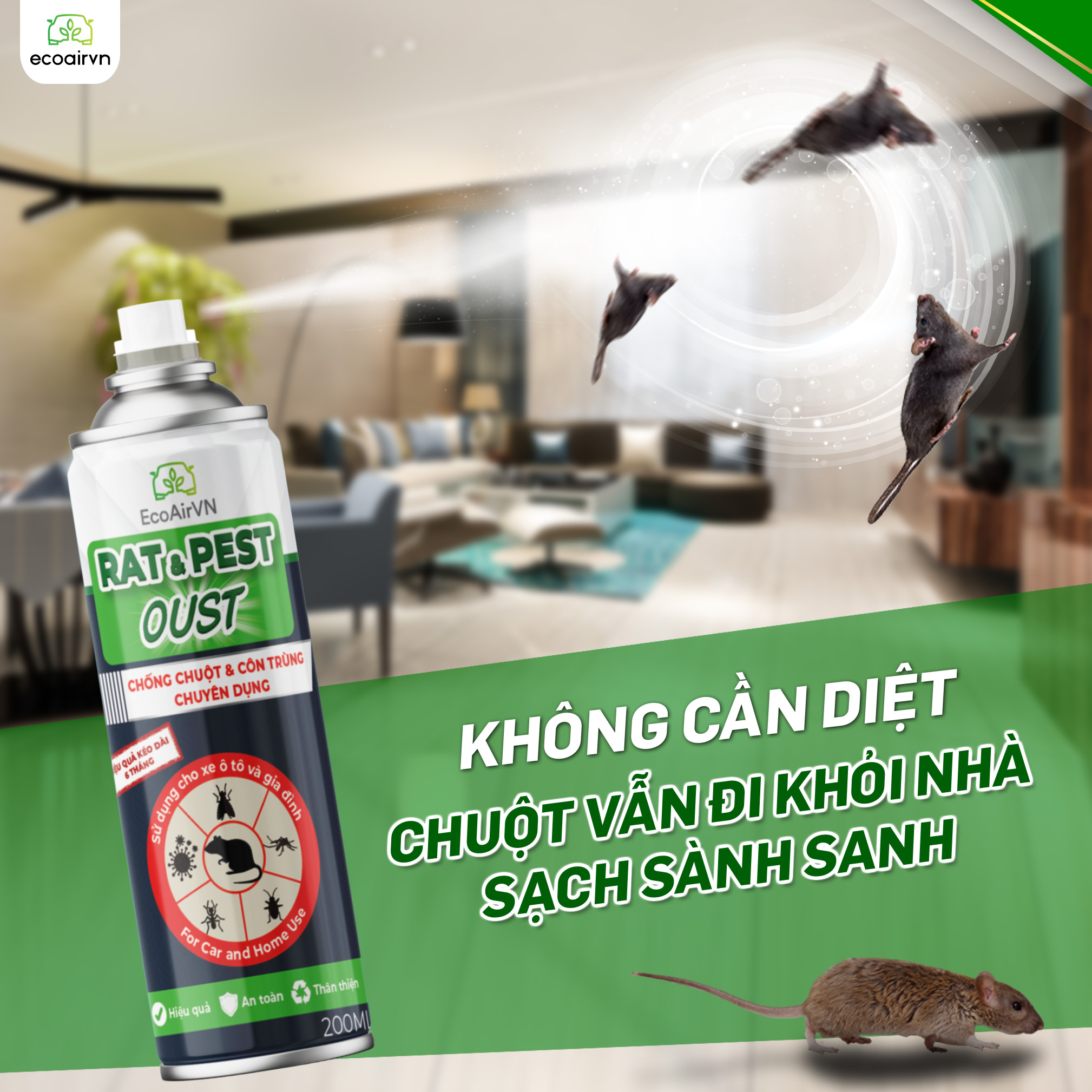 chuột sợ cái gì nhất. xịt đuổi chuột rat & pest oust