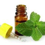tinh dầu bạc hà có đuổi được chuột không, xịt đuổi chuột rat & pest oust