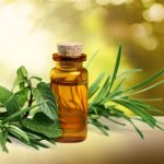 Chuột sợ dầu gì? 7 loại tinh dầu đuổi chuột hiệu quả, xịt đuổi chuột rat & pest oust