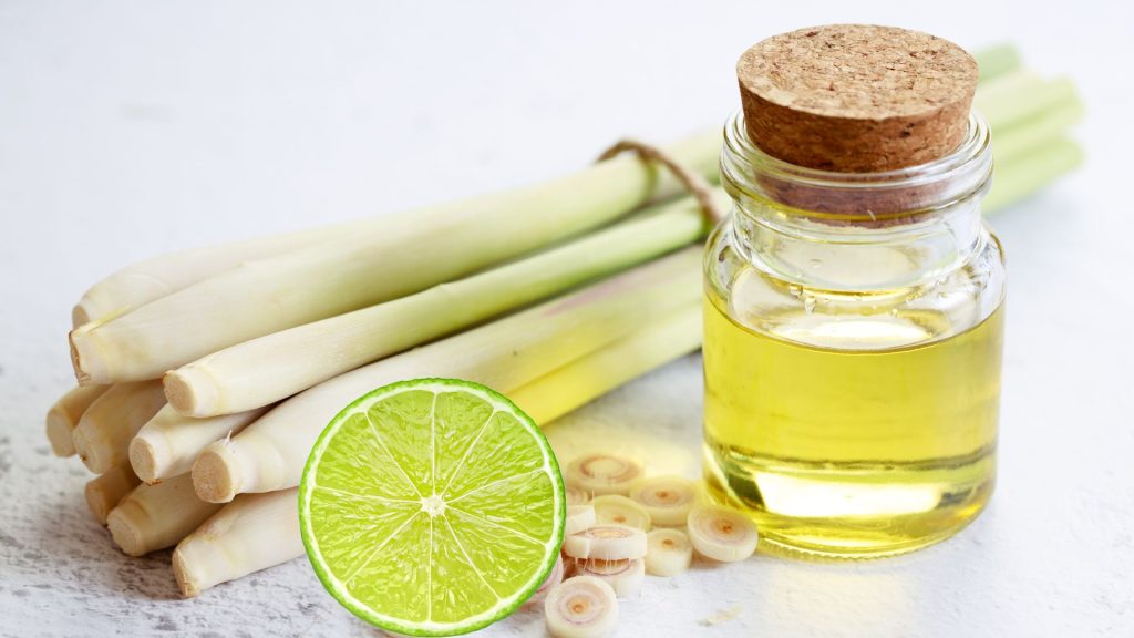 tinh dầu sả chanh đuổi được chuột không, xịt đuổi chuột rat & pest oust
