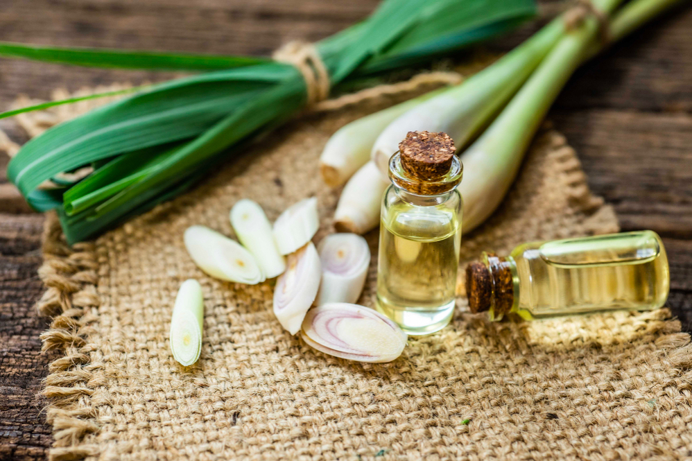 tinh dầu sả chanh đuổi được chuột không, xịt đuổi chuột rat & pest oust
