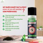 thuốc gì diệt chuột hiệu quả, xịt đuổi chuột rat & pest oust