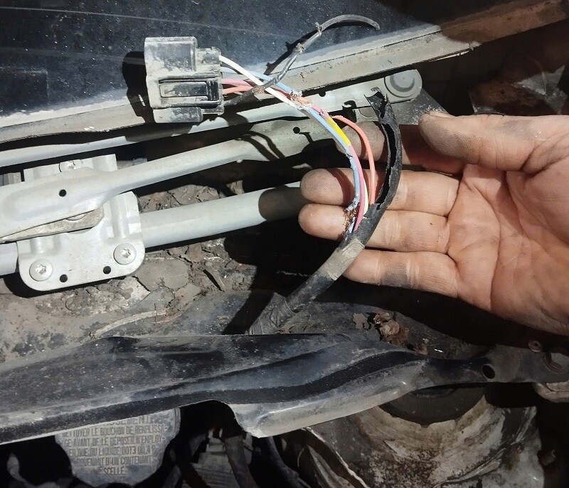 chuột thích dây điện ô tô có mùi gì, xịt đuổi chuột ô tô engine cleaner
