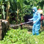 phun thuốc muỗi vào rau có ăn được không, xịt chống muỗi thiên nhiên heroh