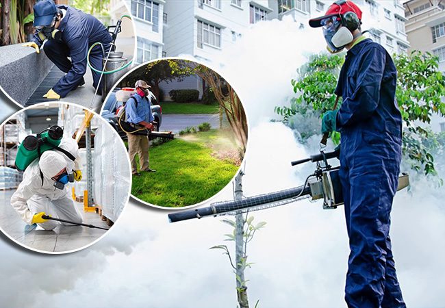 tác hại của bình xịt muỗi hóa chất, xịt chống muỗi thiên nhiên heroh