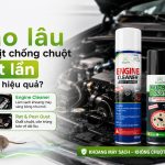 Bao lâu nên xịt chống chuột một lần để đạt hiệu quả? rat & pest oust, engine cleaner