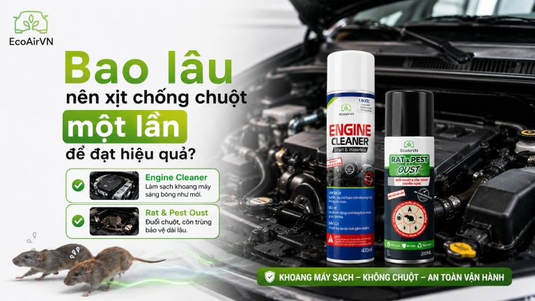 Bao lâu nên xịt chống chuột một lần để đạt hiệu quả? rat & pest oust, engine cleaner