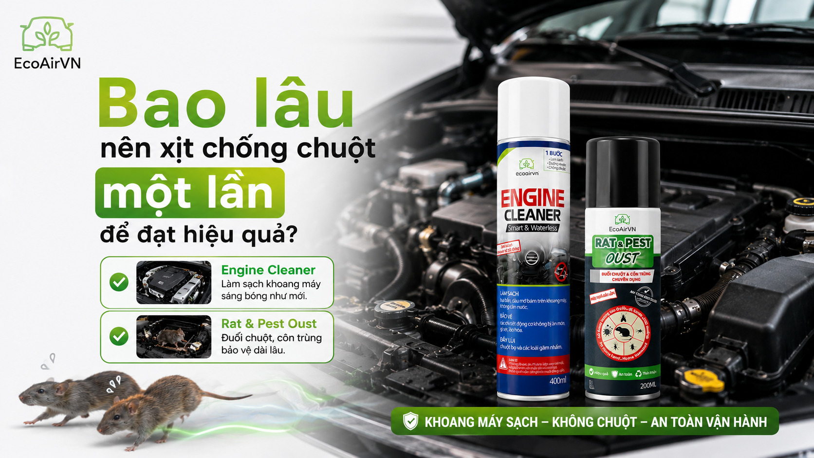 Bao lâu nên xịt chống chuột một lần để đạt hiệu quả? rat & pest oust, engine cleaner
