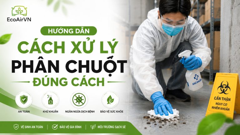 Cách dọn phân chuột an toàn, giảm nguy cơ lây bệnh