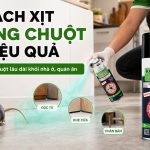cách xịt chống chuột hiệu quả, rat & pest oust