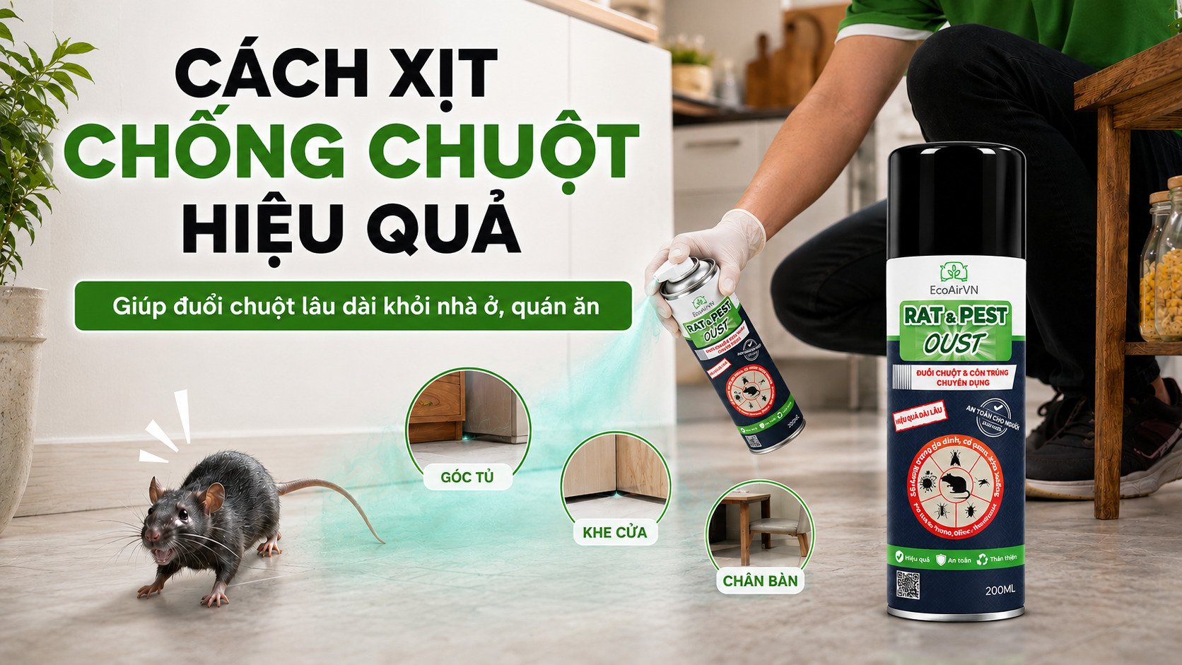 cách xịt chống chuột hiệu quả, rat & pest oust